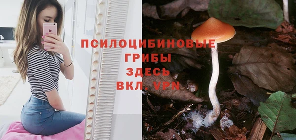 mdpv Верея